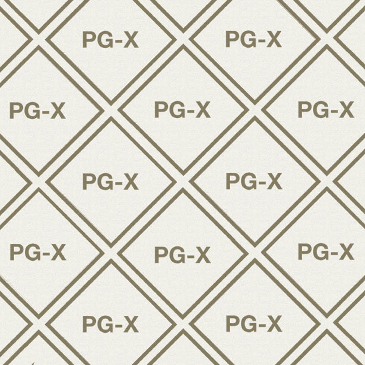 pg-x cnaf gasket material